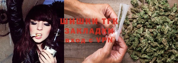 ПСИЛОЦИБИНОВЫЕ ГРИБЫ Аркадак