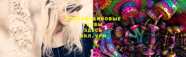 ПСИЛОЦИБИНОВЫЕ ГРИБЫ Аркадак