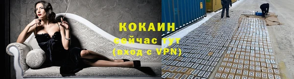 индика Приозерск
