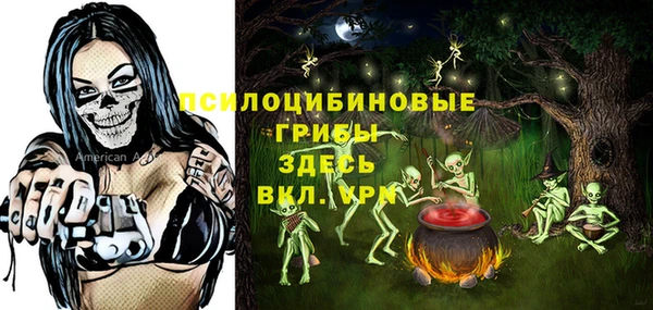 ПСИЛОЦИБИНОВЫЕ ГРИБЫ Аркадак